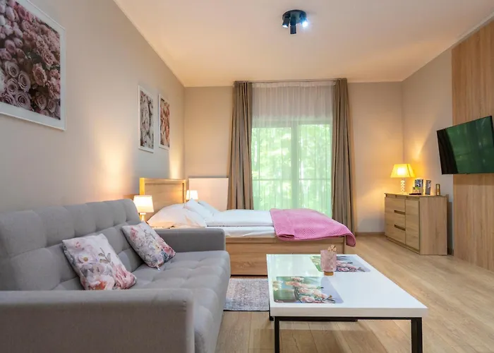 Karkonosky - Rozany Lejlighed Szklarska Poręba