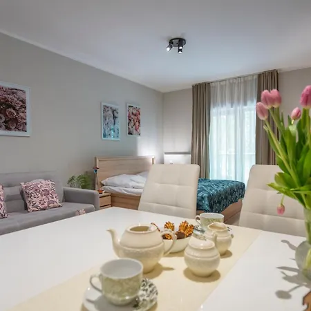 Karkonosky - Rozany Lejlighed Szklarska Poręba